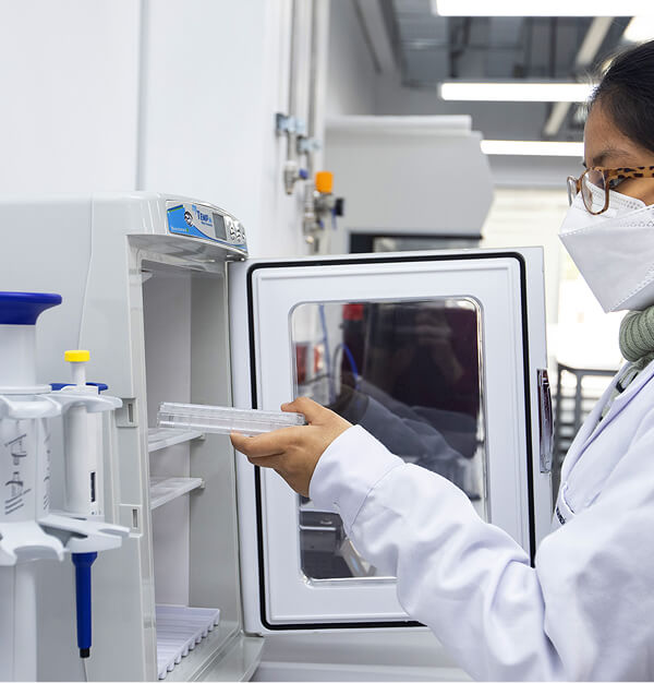 Técnico calibrando pesas patrón en laboratorio
